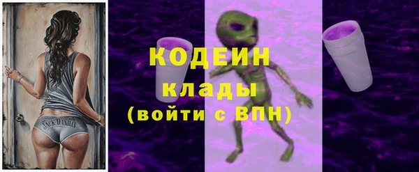 хмурый Вязьма