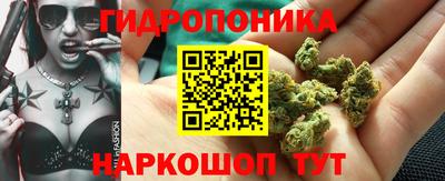 первитин Бийск