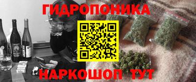 спайс Гай