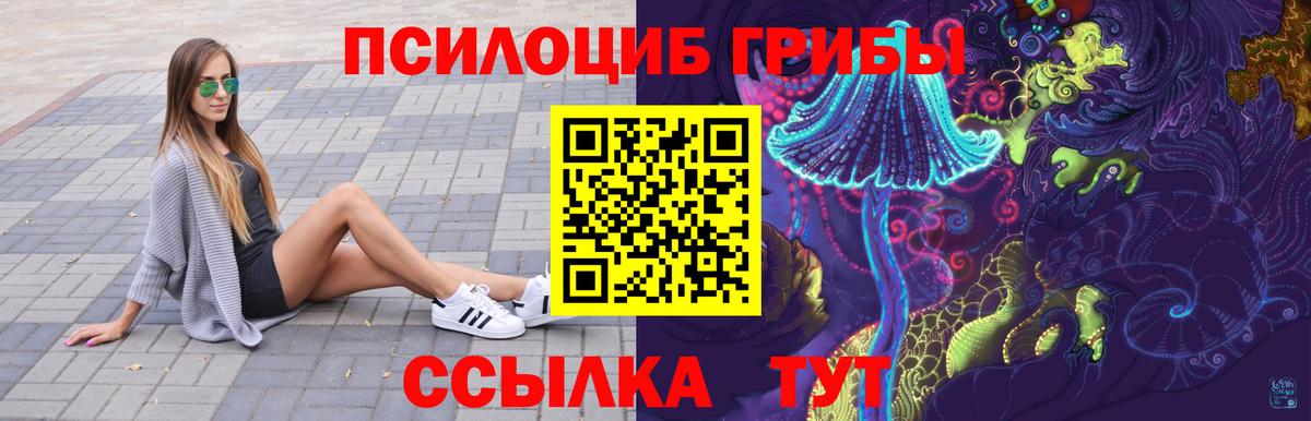 Псилоцибиновые грибы GOLDEN TEACHER Златоуст