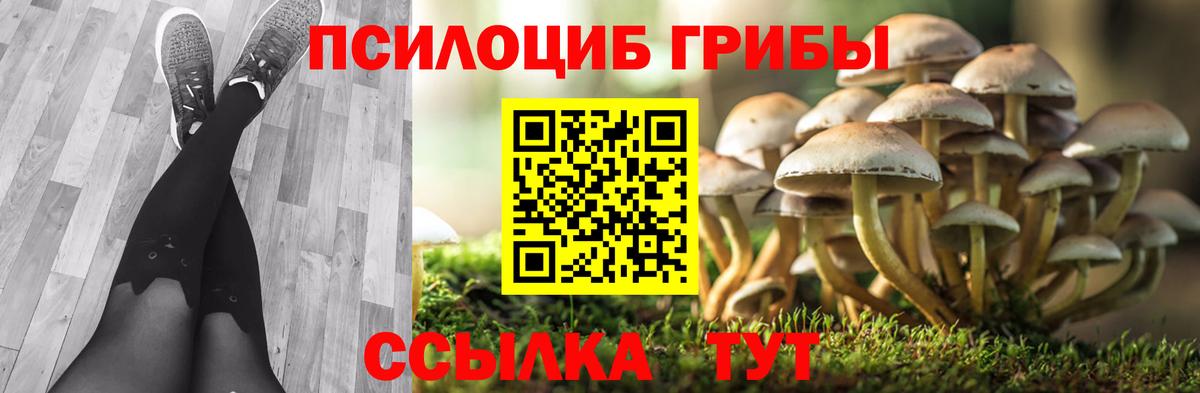 Златоуст  Галлюциногенные грибы мицелий  где купить   Вход с VPN 